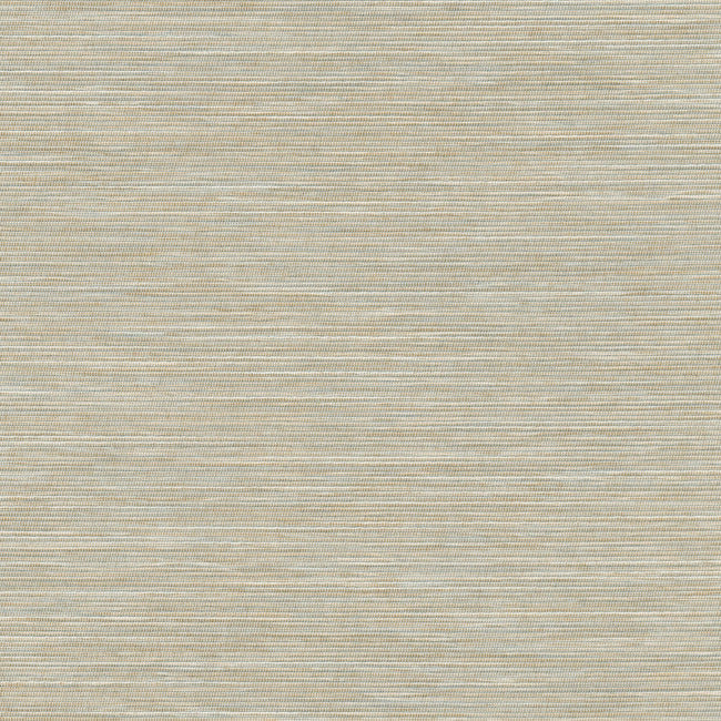 Remi Silk