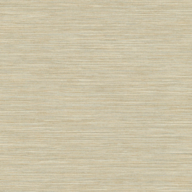 Remi Silk