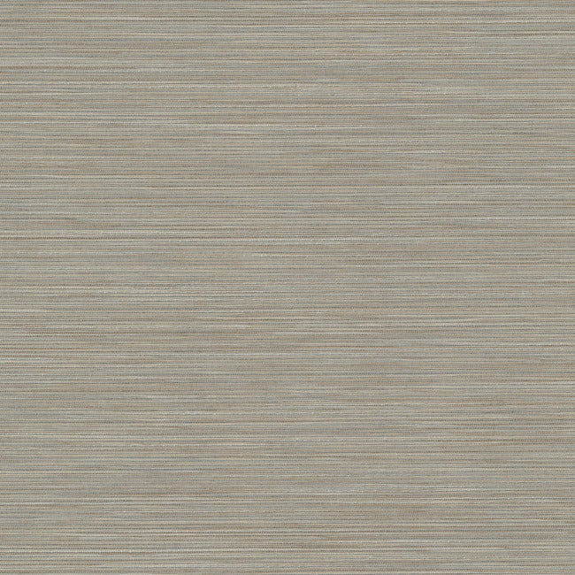 Remi Silk