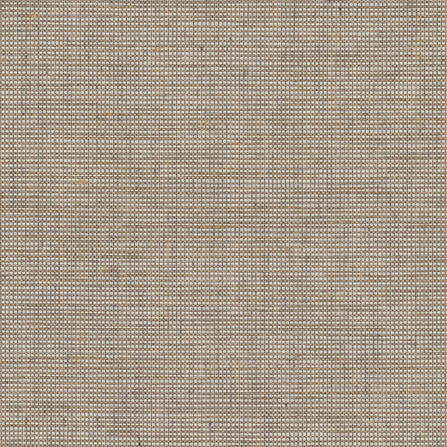 Coco Linen