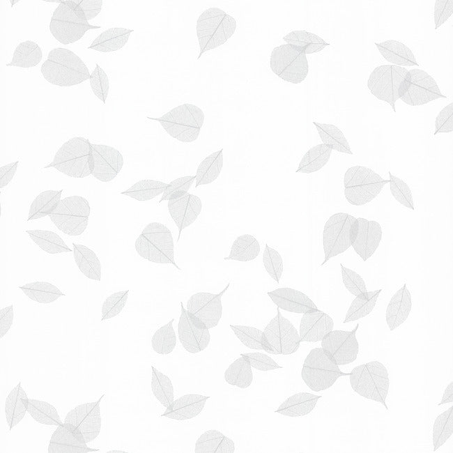 Bodhi – York Contract