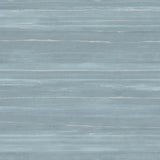 Veiled Horizon