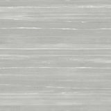 Veiled Horizon