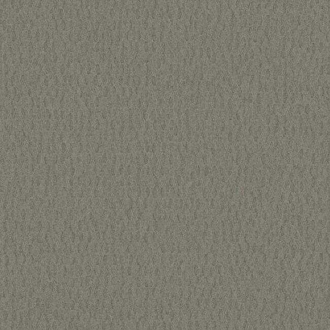 BX4843