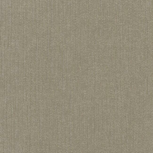DG1104