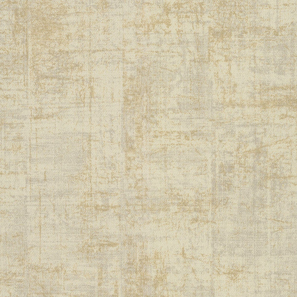 【THEAIRTOWN】bills skpt ★2color S/M GW2111ex_600x.jpg?v=1664552518