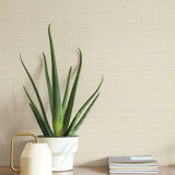 IB1418 roomet