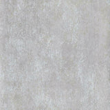 SG2559