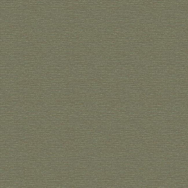 TC4079