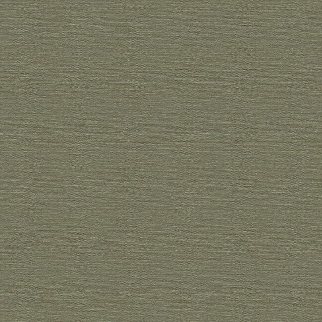 TC4079