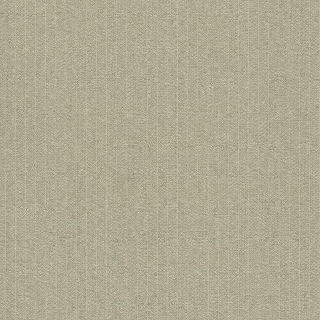 TEX1218