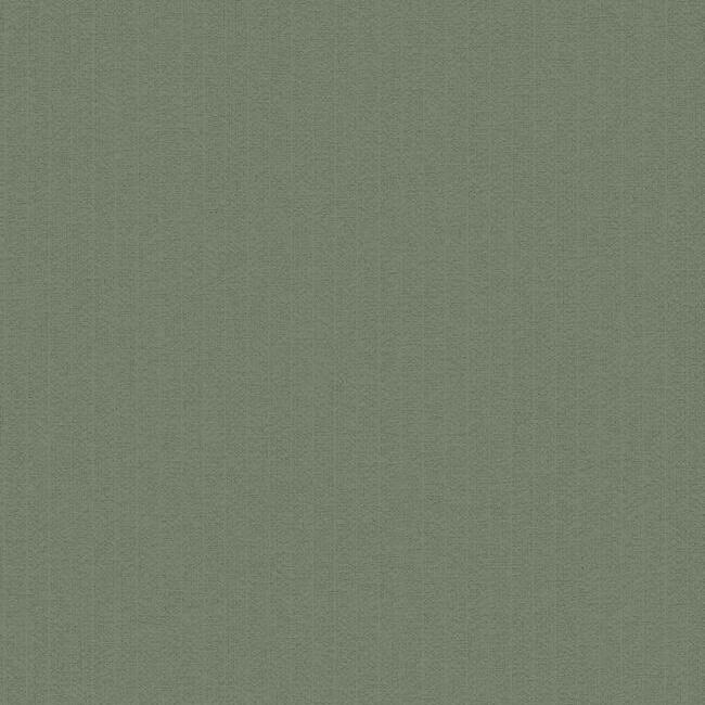 TEX1221