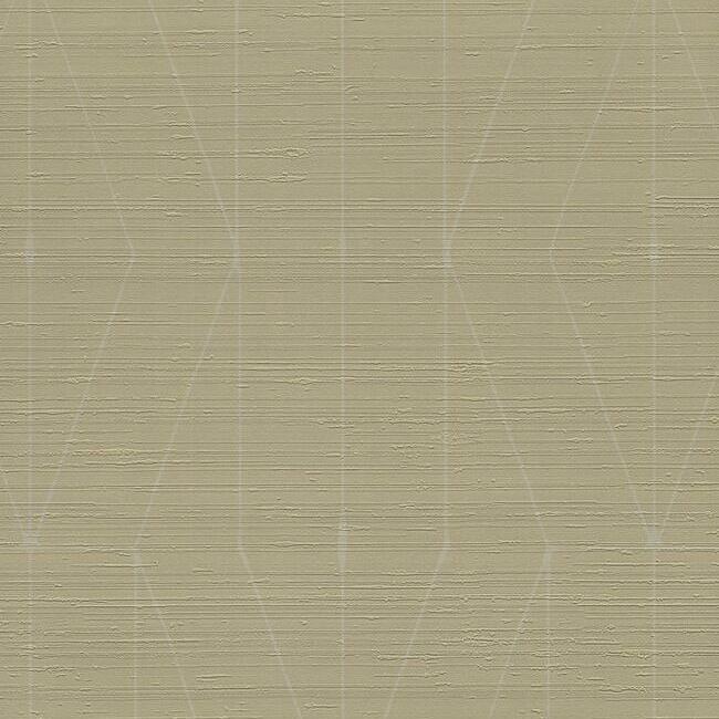 TEX1231