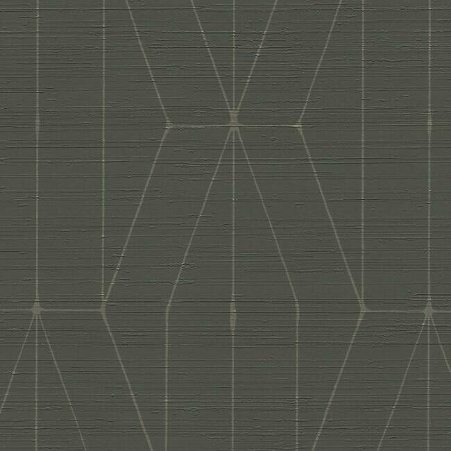 TEX1234