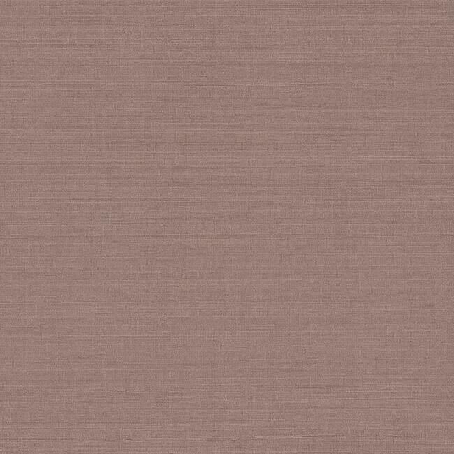 TEX1269