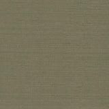 TEX1271