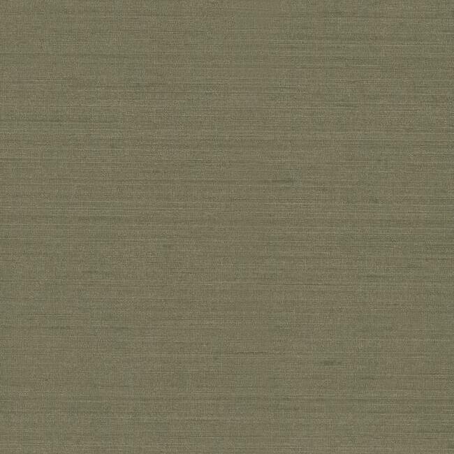 TEX1271